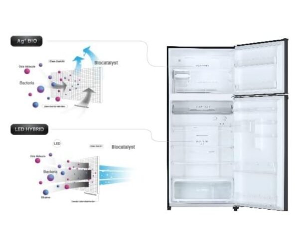 Toshiba 608 Liter Top Mount Refrigerator Model- GRA820X(BS) - Image 4